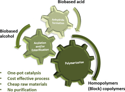 研究人员开发可持续锅法来生产塑料产品